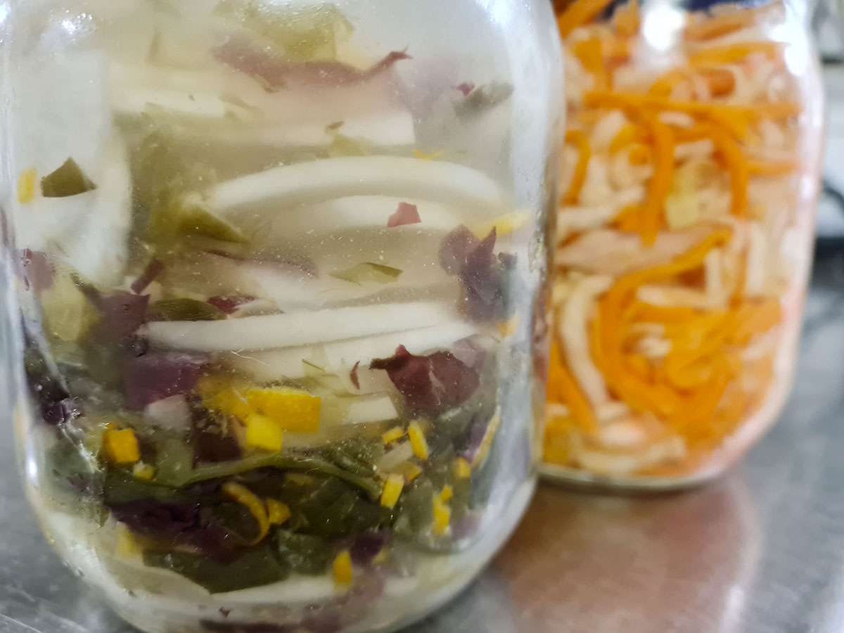 Bocaux de légumes en fermentation