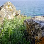 Côte de Rospico