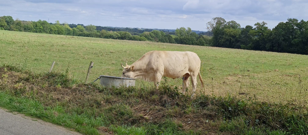 De la viande de boeuf de qualité à l’ardoise du Café de l’Épée